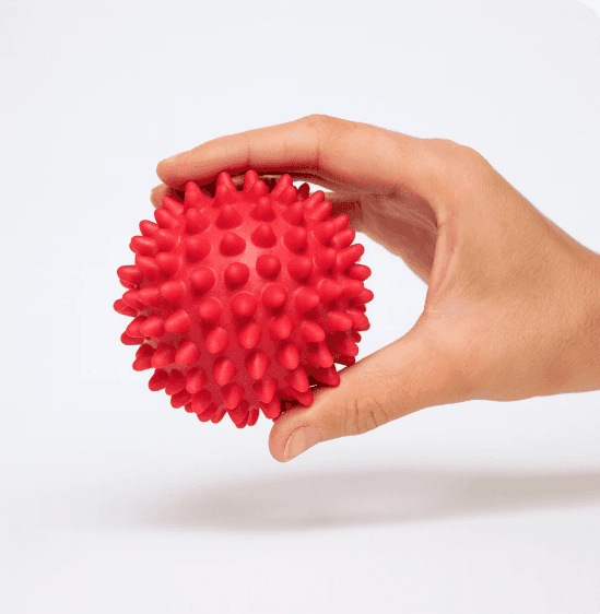 A hand holding a red spiky massage ball against a plain white background.